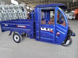 ALAREOT Courier V13 Box Delivery Tricycle thumbnail 3