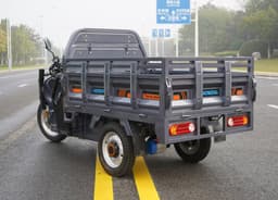 ALAREOT Hauler C16 Electric Cargo Tricycle thumbnail 2