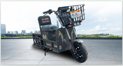 ALAREOT Ox Heavy-Load Cargo Tricycle - Image 1